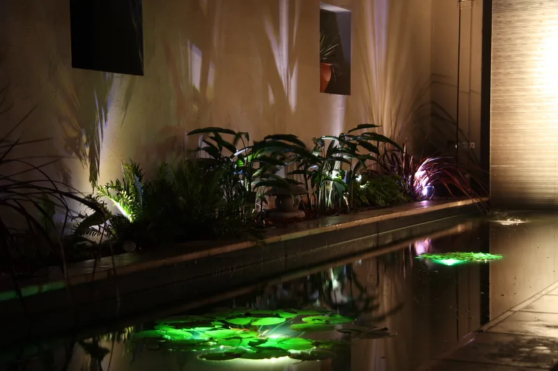 The Garden Guide: A qualified horticulturist, four decades in.