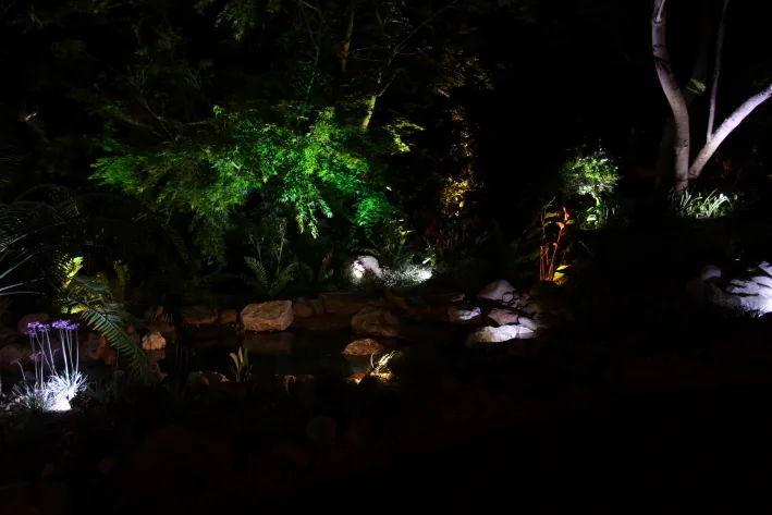 Native rock pond lit at night among established planting
