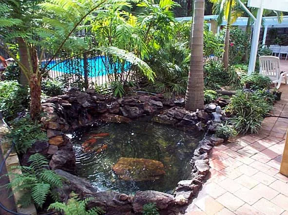 Rock-edged koi pond beside a pool in a Pymble garden