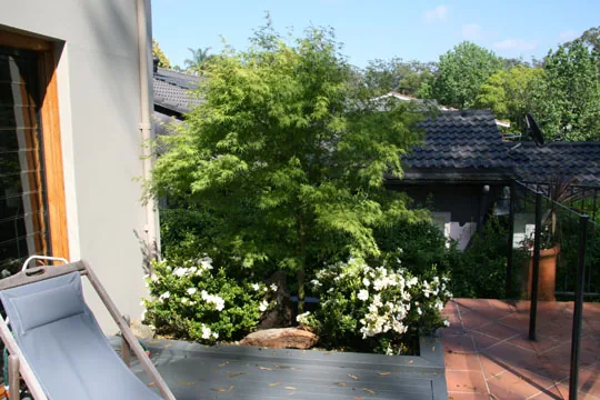Planted garden terrace off a St Ives home